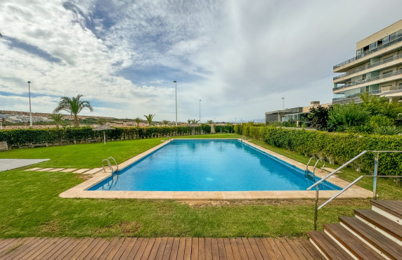 Seasonal Rental - Apartment - Arenales del sol - Arenales del Sol