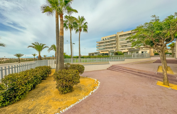 Seasonal Rental - Apartment - Arenales del sol - Arenales del Sol