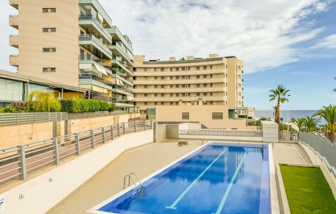 Seasonal Rental - Apartment - Arenales del sol - Arenales del Sol