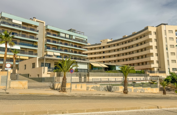 Seasonal Rental - Apartment - Arenales del sol - Arenales del Sol
