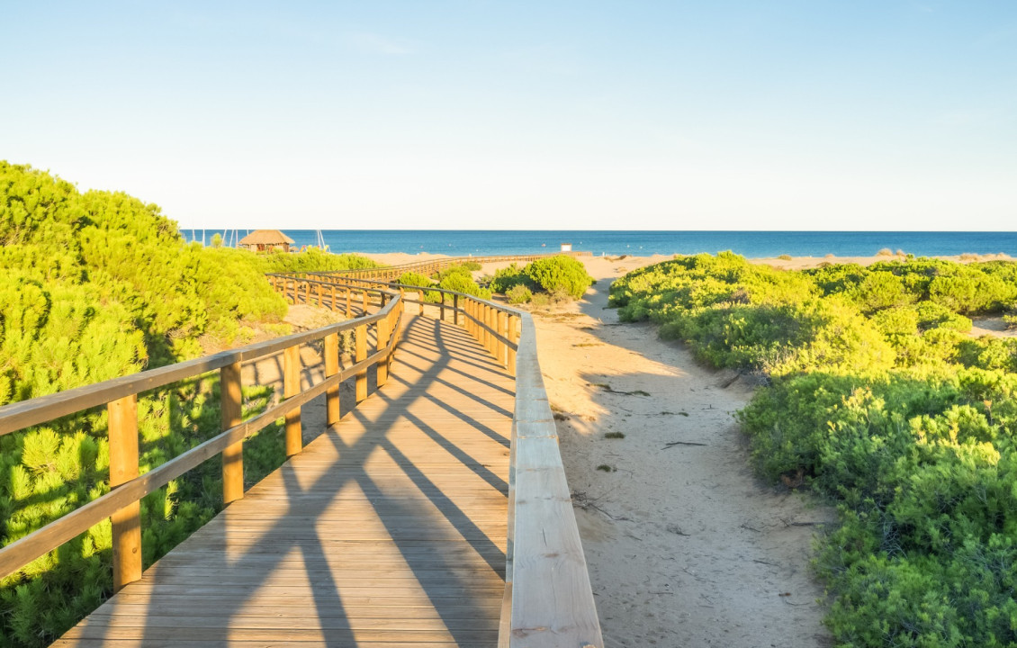 Seasonal Rental - Apartment - Arenales del sol - Arenales del Sol