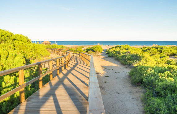 Seasonal Rental - Apartment - Arenales del sol - Arenales del Sol