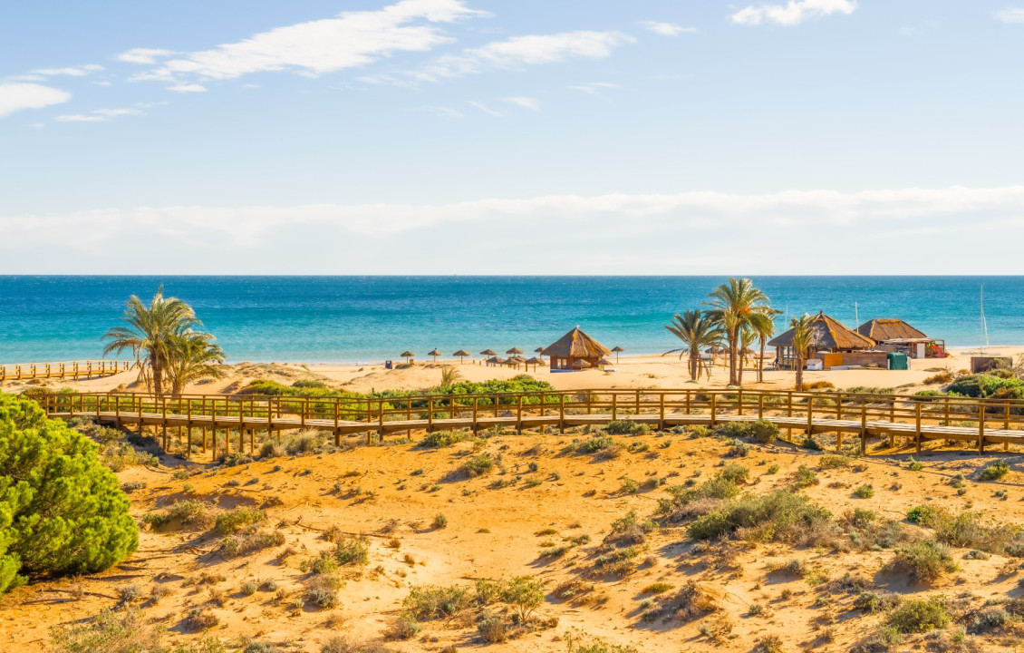 Seasonal Rental - Apartment - Arenales del sol - Arenales del Sol