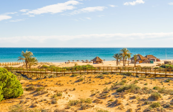 Seasonal Rental - Apartment - Arenales del sol - Arenales del Sol