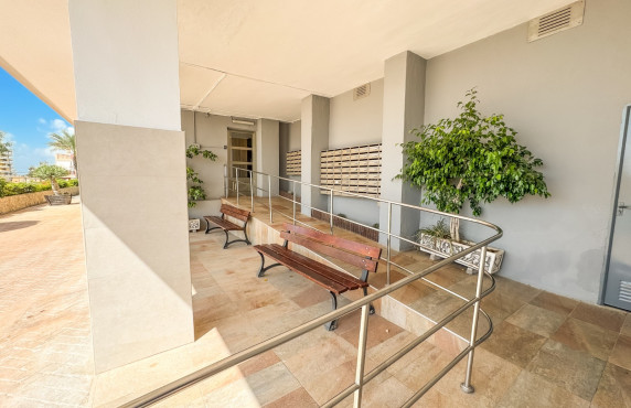 Alquiler Temporal - Apartamento - Santa Pola - Santa Pola del Este