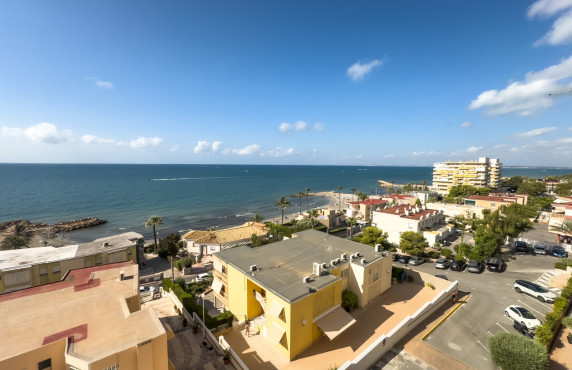Alquiler Temporal - Apartamento - Santa Pola - Santa Pola del Este