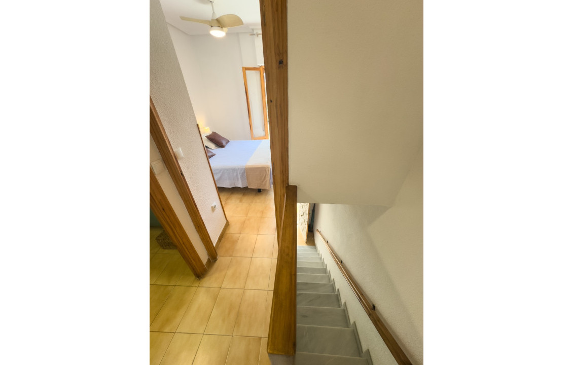Seasonal Rental - Apartment - Santa Pola - Gran playa