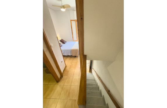 Seasonal Rental - Apartment - Santa Pola - Gran playa