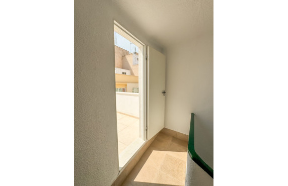 Alquiler de habitación de Larga Estancia - habitación individual - Elche - Centro