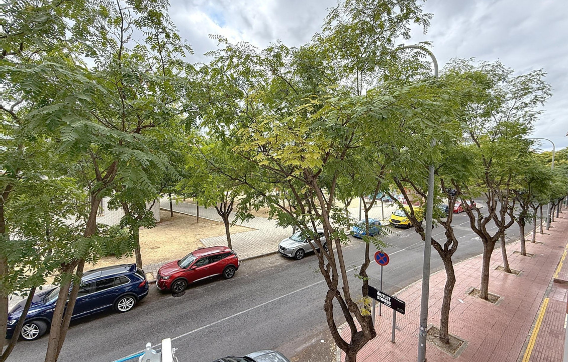 Venta - Piso - San Vicente del Raspeig - Colonia Santa Isabel