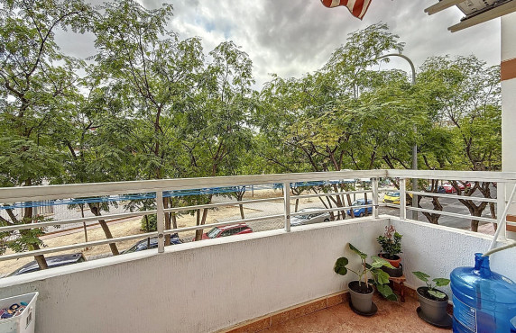 Venta - Piso - San Vicente del Raspeig - Colonia Santa Isabel