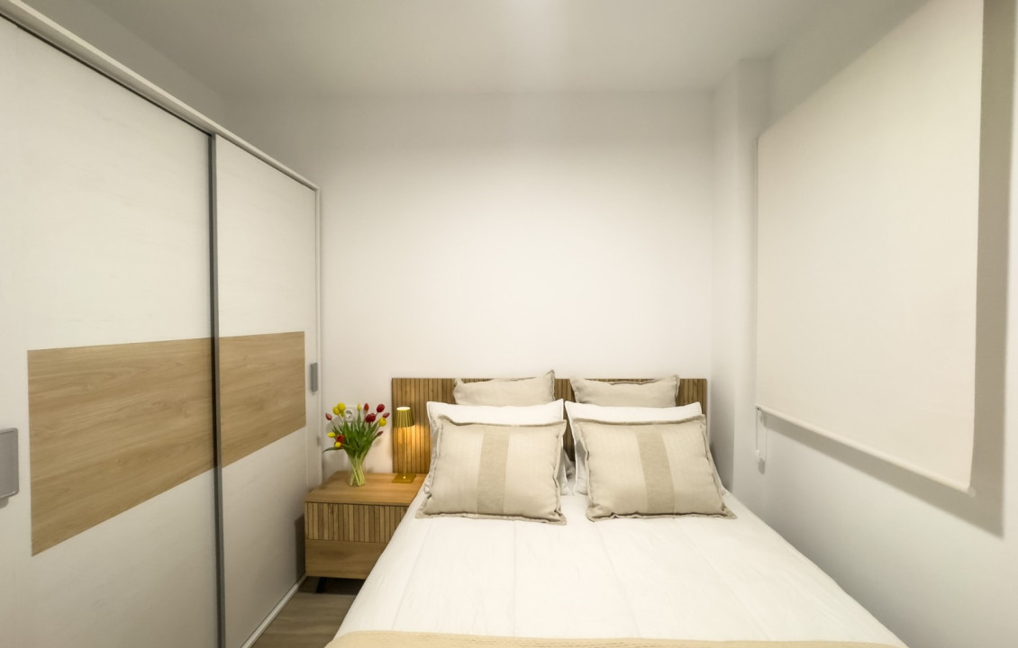 Seasonal Rental - Apartment - Elche - Centro
