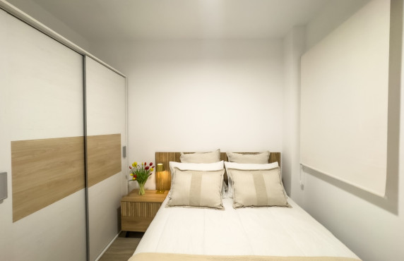 Seasonal Rental - Apartment - Elche - Centro