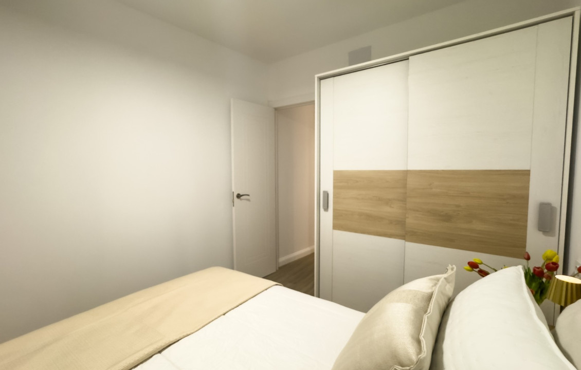 Seasonal Rental - Apartment - Elche - Centro
