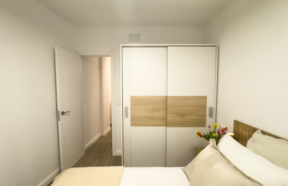 Seasonal Rental - Apartment - Elche - Centro