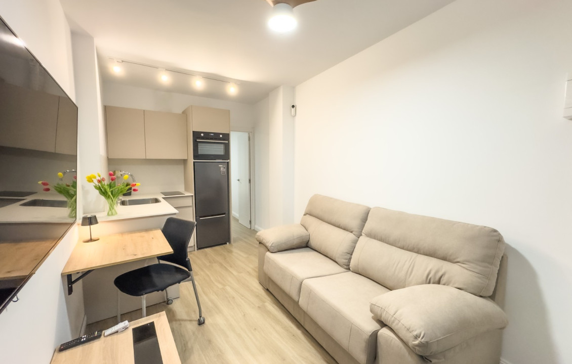 Seasonal Rental - Apartment - Elche - Centro