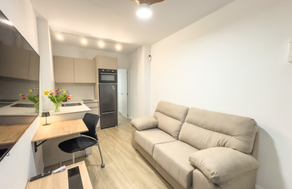 Seasonal Rental - Apartment - Elche - Centro
