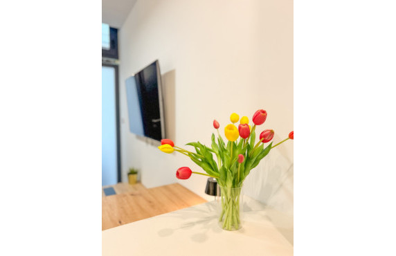 Seasonal Rental - Apartment - Elche - Centro