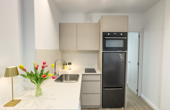 Seasonal Rental - Apartment - Elche - Centro