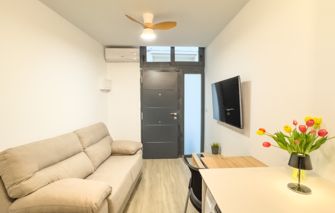 Seasonal Rental - Apartment - Elche - Centro