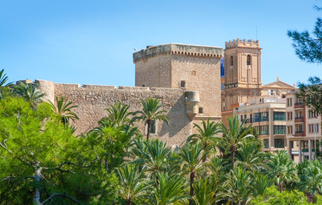 Seasonal Rental - Apartment - Elche - Centro