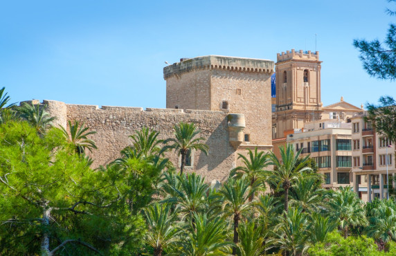 Seasonal Rental - Apartment - Elche - Centro