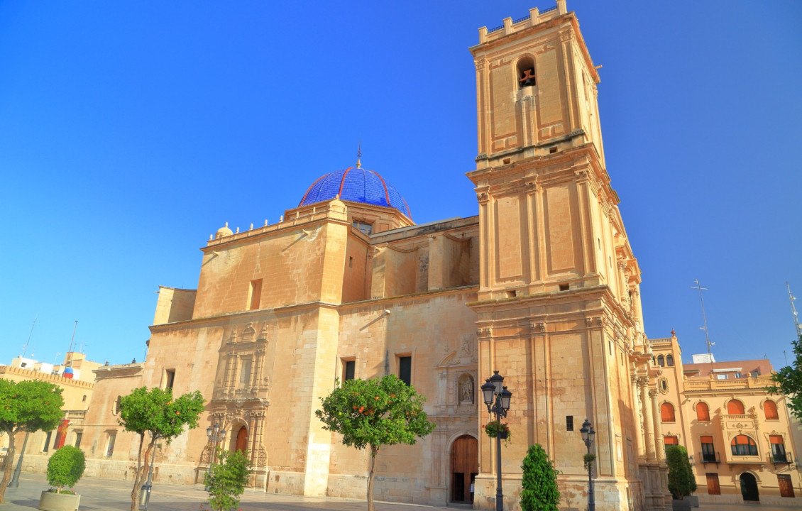 Seasonal Rental - Apartment - Elche - Centro
