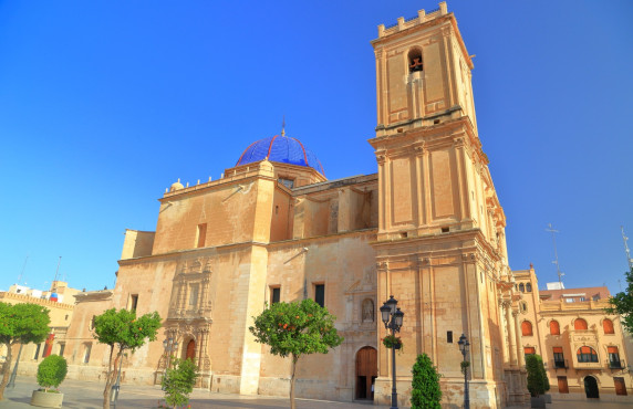 Seasonal Rental - Apartment - Elche - Centro