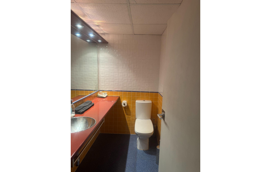 Alquiler Larga Estancia - Oficinas - Alicante - Centro
