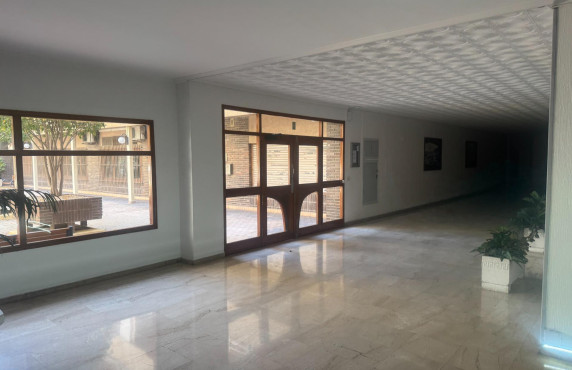 Alquiler Larga Estancia - Oficinas - Alicante - Centro