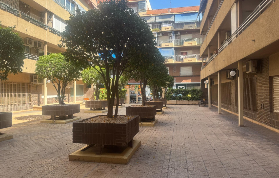 Alquiler Larga Estancia - Oficinas - Alicante - Centro