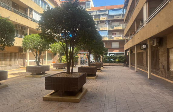 Alquiler Larga Estancia - Oficinas - Alicante - Centro