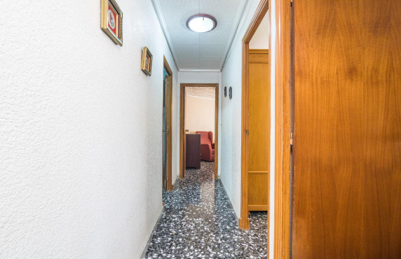 Venta - Piso - Elche - Asilo - Pisos Azules
