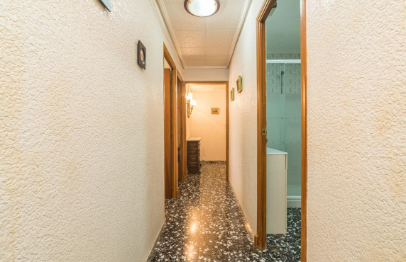 Venta - Piso - Elche - Asilo - Pisos Azules