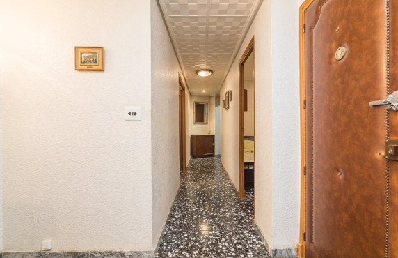 Venta - Piso - Elche - Asilo - Pisos Azules