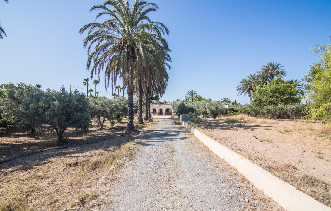 Venta - villa - Elche - Elche / Elx