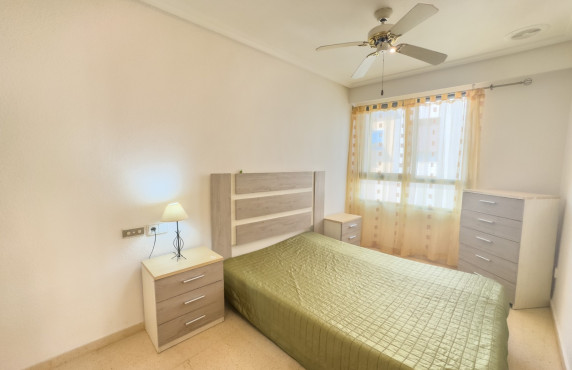 Alquiler Larga Estancia - Piso - Elche - Asilo - Pisos Azules