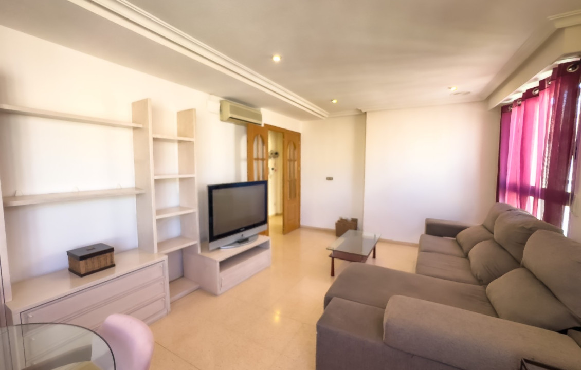 Alquiler Larga Estancia - Piso - Elche - Asilo - Pisos Azules