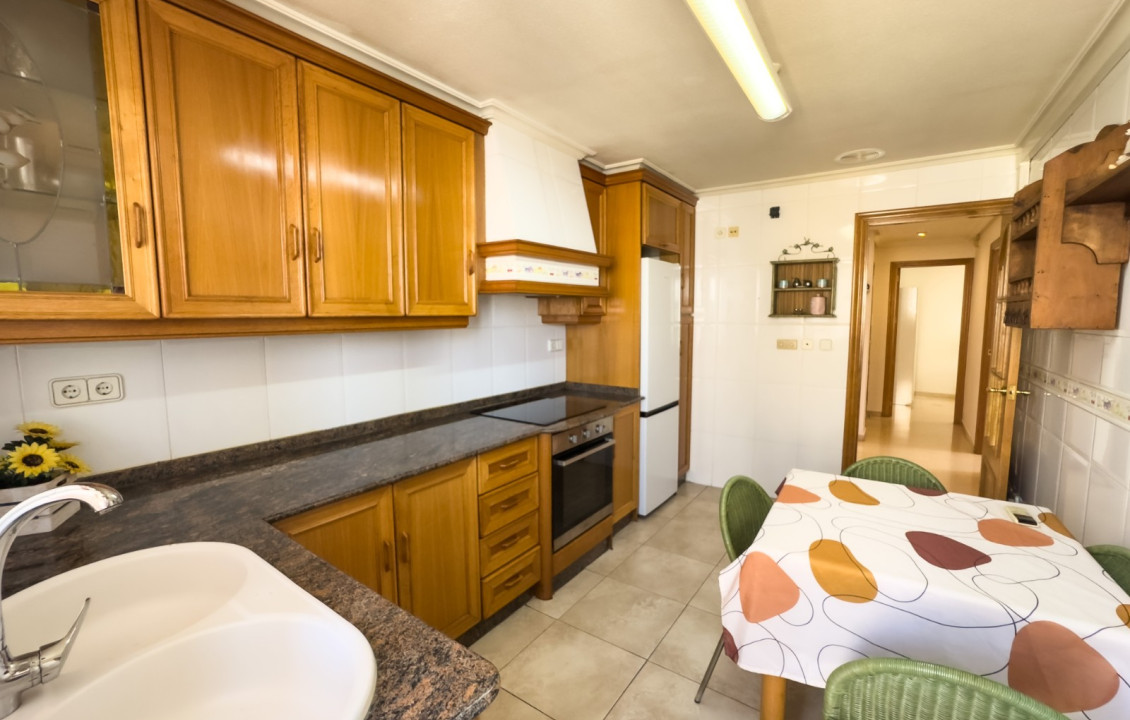 Alquiler Larga Estancia - Piso - Elche - Asilo - Pisos Azules