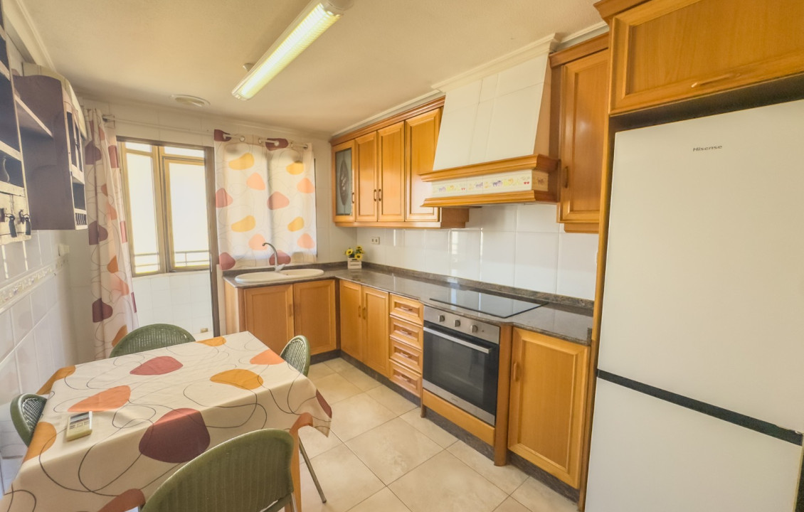 Alquiler Larga Estancia - Piso - Elche - Asilo - Pisos Azules