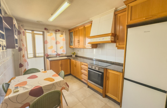 Alquiler Larga Estancia - Piso - Elche - Asilo - Pisos Azules