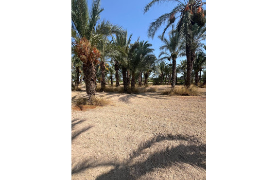 Venta - Country land - Matola - Algoda-Matola-Llano de San José