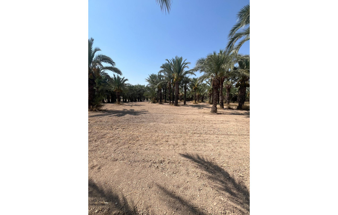 Venta - Country land - Matola - Algoda-Matola-Llano de San José