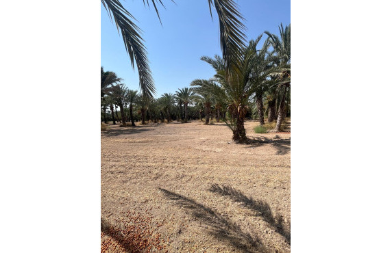 Venta - Country land - Matola - Algoda-Matola-Llano de San José