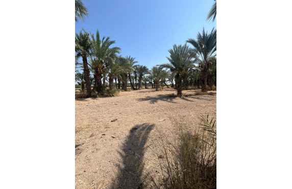 Venta - Country land - Matola - Algoda-Matola-Llano de San José