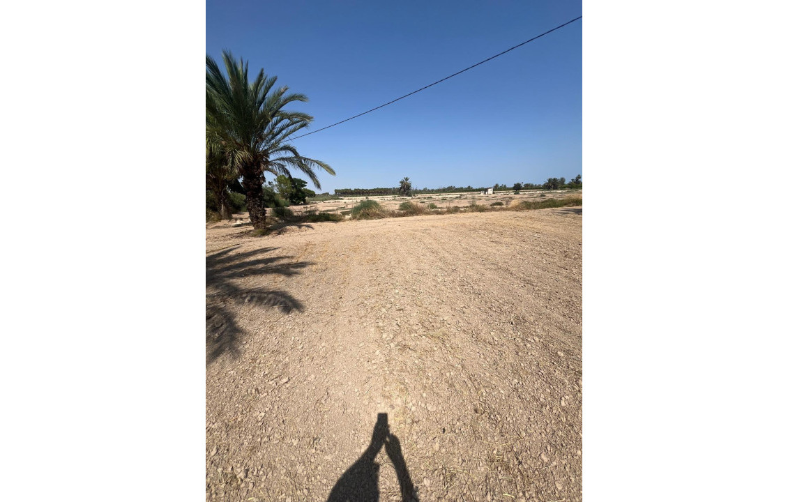 Venta - Country land - Matola - Algoda-Matola-Llano de San José