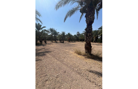 Venta - Country land - Matola - Algoda-Matola-Llano de San José