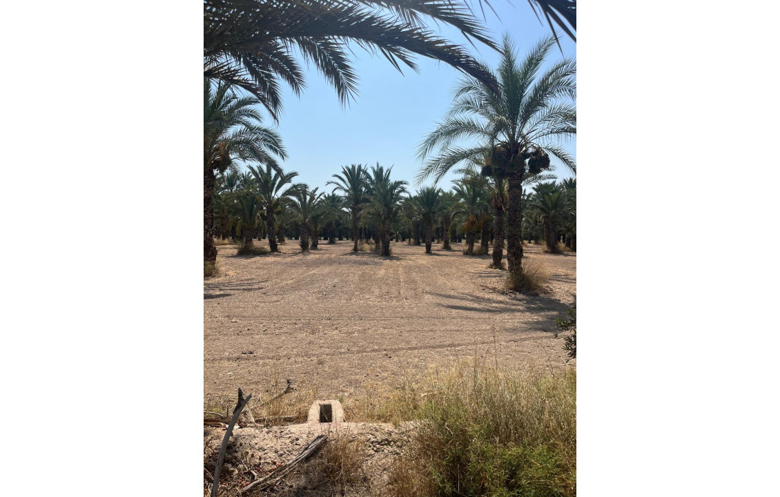 Venta - Country land - Matola - Algoda-Matola-Llano de San José