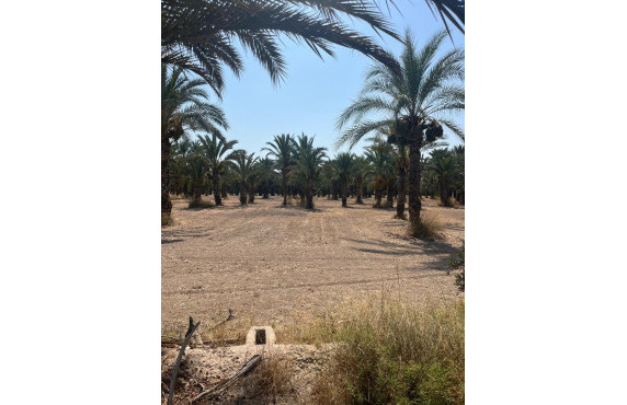 Venta - Country land - Matola - Algoda-Matola-Llano de San José