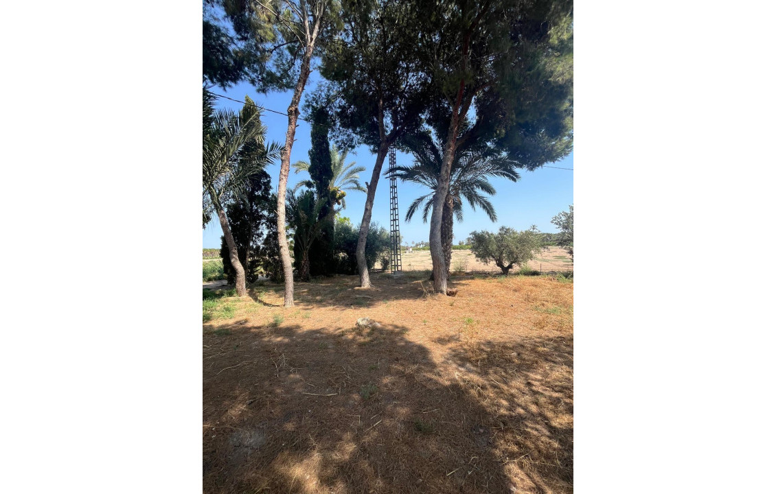 Venta - Country land - Matola - Algoda-Matola-Llano de San José